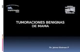 TUMORACIONES BENIGNAS DE MAMA Dr. Jaime Kleiman P.