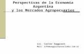 Perspectivas de la Economía Argentina y los Mercados Agropecuarios Lic. Carlos Seggiaro. Mail: info@seggiaroyasociados.com.ar.