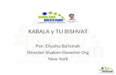 KABALA y TU BISHVAT Por: Eliyahu BaYonah Director Shalom Haverim Org New York.