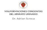 MALFORMACIONES CONGENITAS DEL APARATO URINARIO Dr. Adrian Scroca.