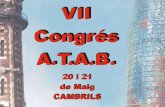 VII CONGRESO Asociación de Trabajadores de Aguas de Barcelona PONENCIA I. ESTATUTOS ATAB es un sindicato: INDEPENDIENTE DE CLASE AUTÓNOMO AUTOGESTIONARIO.