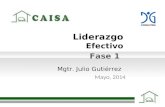 Liderazgo Efectivo Fase 1 Mgtr. Julio Gutiérrez Mayo, 2014.