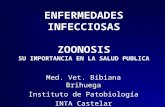 ENFERMEDADES INFECCIOSAS ZOONOSIS SU IMPORTANCIA EN LA SALUD PUBLICA Med. Vet. Bibiana Brihuega Instituto de Patobiología INTA Castelar.