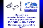 Boletín de oportunidades cursos, becas y pasantías OCORI – UNEXPO Noviembre-Diciembre 2007.