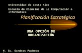 Planificación Estratégica UNA OPCIÓN DE ORGANIZACIÓN Universidad de Costa Rica Escuela de Ciencias de la Computación e Informática M. Sc. Sanders Pacheco.