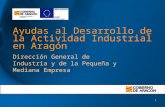 1 Ayudas al Desarrollo de la Actividad Industrial en Aragón Dirección General de Industria y de la Pequeña y Mediana Empresa.