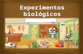 Los experimentos biológicos son un medio idóneo para acercar a los niños al ambiente natural, a través de esto se le brinda al niño las oportunidades.