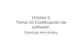 Unidad 5 Tema 10 Codificación de software Domingo Hernández.