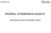 PERFIL EPIDEMIOLOGICO MAGDALENA CENTRO 2007. DISTRIBUCION POBLACIONAL POR GRUPOS ETAREOS MAGDALENA CENTRO AÑO 2007.