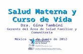 Salud Materna y Curso de Vida Dra. Gina Tambini Gerente del Área de Salud Familiar y Comunitaria México – 7 de junio de 2012.
