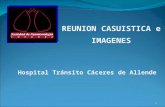1 Hospital Tránsito Cáceres de Allende REUNION CASUISTICA e IMAGENES.
