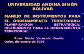 UNIVERSIDAD ANDINA SIMÓN BOLÍVAR MANEJO DE INSTRUMENTOS PARA EL ORDENAMIENTO TERRITORIAL: PLANIFICACIÓN ESTRATÉGICA, INSTRUMENTO PARA EL ORDENAMIENTO.
