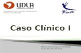 Interno: Luciano Quiroz Rodríguez Fecha: 04 junio de 2013 Facultad de Salud, Psicología y Rehabilitación Escuela de Kinesiología.