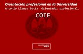Orientación profesional en la Universidad Antonio Llamas Botía. Orientador profesional. COIE.