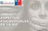 ASPECTOS PSICOSOCIALES DE LA VIF SERNAM Programa Chile Acoge.