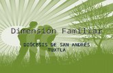 Dimensión Familiar D IÓCESIS DE S AN A NDRÉS T UXTLA.