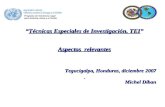 “Técnicas Especiales de Investigación, TEI” Aspectos relevantes Tegucigalpa, Honduras, diciembre 2007 Michel Diban.