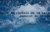 Factores de control de la calidad natural de las aguas Dra. Belén Buil Gutiérrez Investigadora CIEMAT.