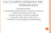 LA CUARTA SEMANA DE EMBARAZO INTEGRANTES: MONTERO HERNANDEZ GUSTAVO ADOLFO PEREZ PACHECO HECTOR REYES LOPEZ CINTHIA LIZBETH SALGADO DEL REY JOSE LUIS TORRES.