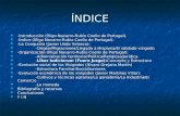 ÍNDICE -Introducción (Íñigo Navarro-Rubio Coello de Portugal). -Introducción (Íñigo Navarro-Rubio Coello de Portugal). -Índice (Íñigo Navarro-Rubio Coello.