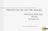 PROYECTO DE LEY DE AGUAS PROTECCION DEL AGUA TITULO VI Dra. Cecilia Rosell Grijalba.