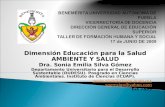 Dimensión Educación para la Salud AMBIENTE Y SALUD Dra. Sonia Emilia Silva Gómez Departamento Universitario para el Desarrollo Sustentable (DUDESU). Posgrado.
