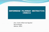 ENFERMEDAD PULMONAR OBSTRUCTIVA CRONICA Dra. Carla Villarreal Aguilar Neumología Marzo. 2015.