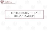 ESTRUCTURA DE LA ORGANIZACIÓN. ESTRUCTURA DE LA ORGANIZACION Características Visión, misión, objetivos y estrategia Tipos de organización.