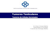 Tumores Testiculares Tumores de Células Germinales Dr. Elías A Gracia Medina Especialista en Oncología J’ Servicio de Oncología Médica INSTITUTO NACIONAL.