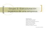 Grupo 3: Estructuración orgánica de una empresa Realizado por: Adrián Martínez Lozano Antonio Perea Serrano José María Quintanilla Guerrero Raquel Ricoy.