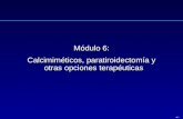 ‹N.º› Módulo 6: Calcimiméticos, paratiroidectomía y otras opciones terapéuticas.