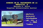 AVANCES EN EL TRATAMIENTO DE LA HEPATITIS B Marcelo O. Silva Hospital Universitario Austral Adefovir Entecavir Telvibudine LdC, FTC, y L- FMAU “Combos”