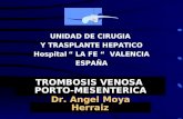 UNIDAD DE CIRUGIA Y TRASPLANTE HEPATICO Hospital “ LA FE “ VALENCIA ESPAÑA TROMBOSIS VENOSA PORTO-MESENTERICA Dr. Angel Moya Herraiz.