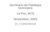 Seminario de Patología Quirúrgica La Paz, BCS Noviembre, 2003 Dr. J. Carlos Manivel.