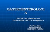 GASTROENTEROLOGIA Dr. Peña Rivas Profesor Depto. MEDICINA PUCMM Estudio del paciente con Enfermedad del Tracto Digestivo.