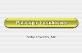 Patología: Introducción Pedro Rovetto, MD. Introducción Definiciones Historia Métodos.