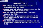 HEPATITIS C El virus de la hepatitis C fue identificado en 1989. Pertenece al género Hepacivirus de la familia de los Flavivirus. Es un virus encapsulado,