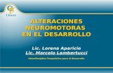 ALTERACIONES NEUROMOTORAS EN EL DESARROLLO Lic. Lorena Aparicio Lic. Marcelo Lambertucci Interdisciplina Terapéutica para el Desarrollo.