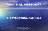 Hebert Palomino O., PhD (c) Fundacion Luz de un Nuevo Dia TEMAS AL ASESORAR 1. ESTRUCTURA FAMILIAR.