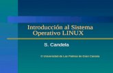 Introducción al Sistema Operativo LINUX S. Candela © Universidad de Las Palmas de Gran Canaria.