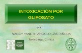 INTOXICACIÓN POR GLIFOSATO NANCY YANETH ANGULO CASTAÑEDA Toxicóloga Clínica por: