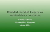 Realidad mundial: Exigencias ambientales y normativa Rubén Gallozzi Montevideo, Uruguay Marzo 2014.
