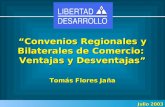 “Convenios Regionales y Bilaterales de Comercio: Ventajas y Desventajas” Tomás Flores Jaña Julio 2003.