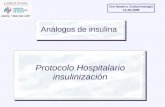 Análogos de insulina Protocolo Hospitalario insulinización Dra Navarro. Endocrinología 11-06-2009.