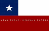 V I V A C H I L E, H E R M O S A P A T R I A C H I L E Chile: un largo camino de 4,300 km desde tierras incas hasta la Antártida.