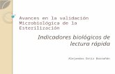 Avances en la validación Microbiológica de la Esterilización Indicadores biológicos de lectura rápida Alejandro Ortiz Barrañón.