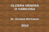 ÚLCERA VENOSA O VARICOSA Dr. Enrique Bertranou 2010.