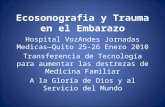 Ecosonografia y Trauma en el Embarazo Hospital VozAndes Jornadas Medicas—Quito 25-26 Enero 2010 Transferencia de Tecnología para aumentar las destrezas.