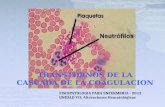 TRANSTORNOS DE LA CASCADA DE LA COAGULACION FISIOPATOLOGIA PARA ENFERMERIA - 2012 UNIDAD VII: Alteraciones Hematológicas.