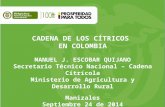 CADENA DE LOS CÍTRICOS EN COLOMBIA MANUEL J. ESCOBAR QUIJANO Secretario Técnico Nacional – Cadena Citrícola Ministerio de Agricultura y Desarrollo Rural.